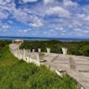 Meet your Posher, Vick